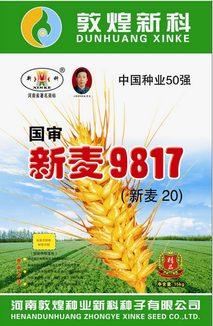 新麥9817（新麥20）